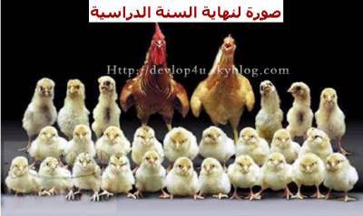 hahha